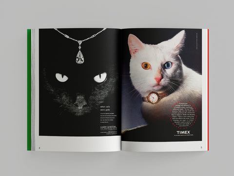 Alberto Vieceli - More Than Cat Food