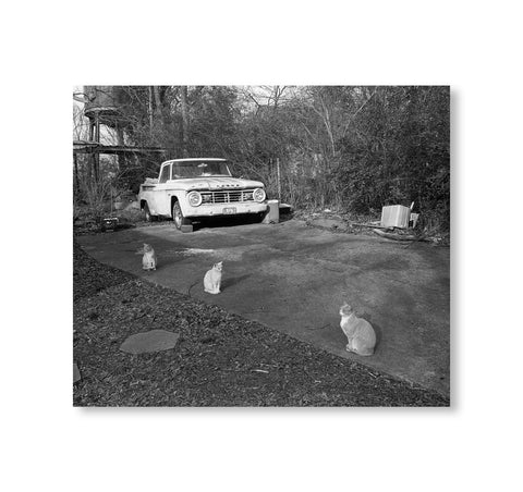 Mark Steinmetz - low fi cats