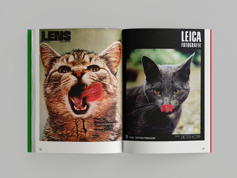 Alberto Vieceli - More Than Cat Food