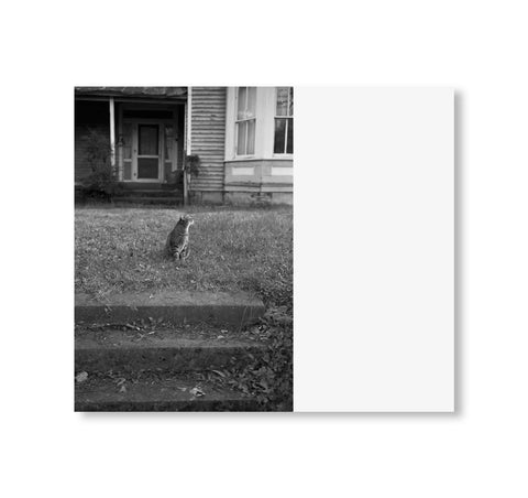 Mark Steinmetz - low fi cats