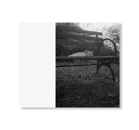 Mark Steinmetz - low fi cats