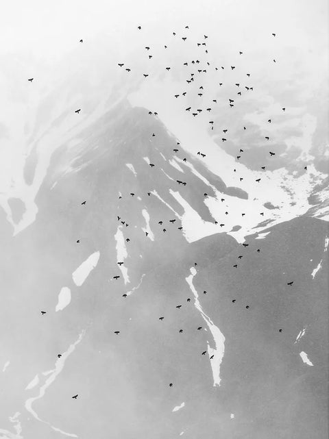 Michael Lange - Cold Mountain - Special Edition with Print