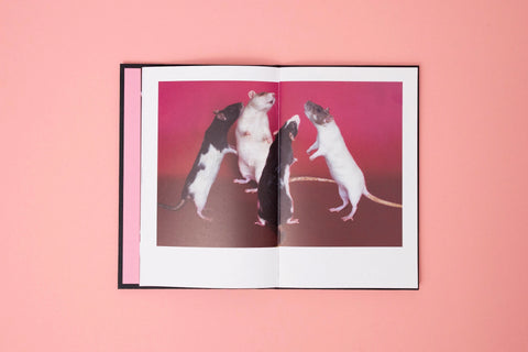Maryia Karneyenka - Rattus Sapiens