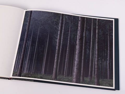 Michael Lange - Wald - Special Edition with Print