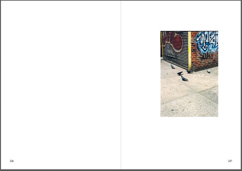 Franziska Rieder - New York Diary