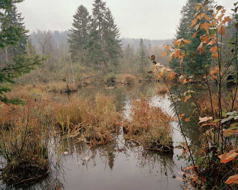 Josée Schryer - sur-la Rouge