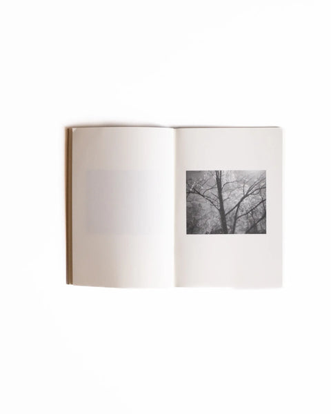 Thomas Bergner - You Are All I See