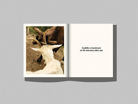 Sabine Hess & Nicolas Polli - one bed, two blankets, seventy-six rules