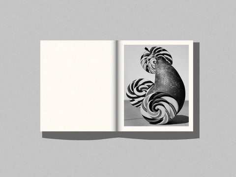 Sabine Hess & Nicolas Polli - one bed, two blankets, seventy-six rules