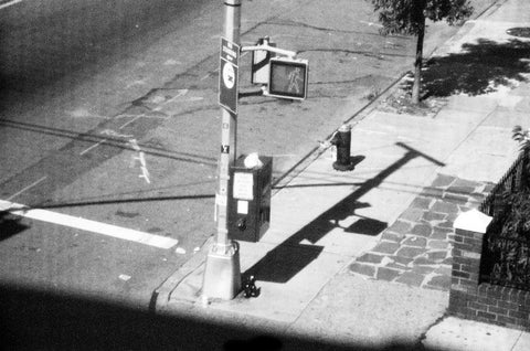 Franziska Rieder - New York Diary