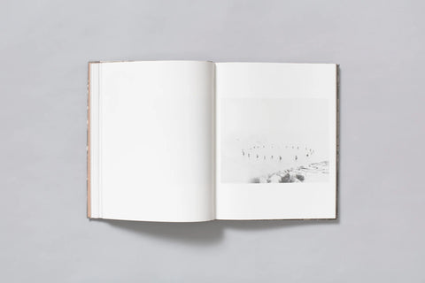 Dylan Hausthor - What the Rain Might Bring
