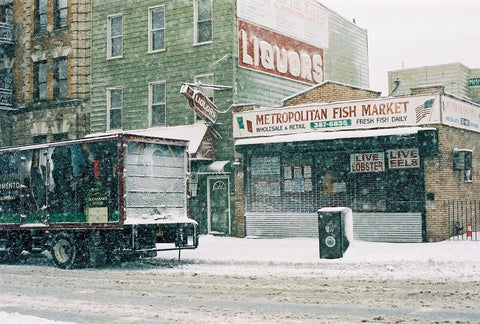 Franziska Rieder - New York Diary