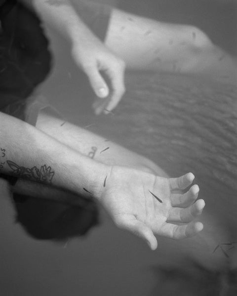 Henry O. Head - Twelve Acres