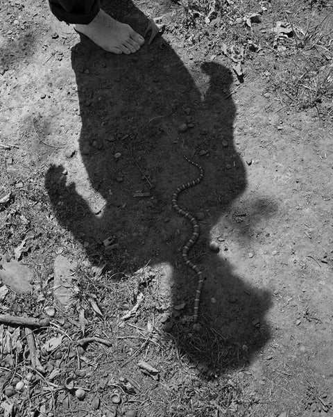 Henry O. Head - Twelve Acres