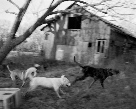 Henry O. Head - Twelve Acres