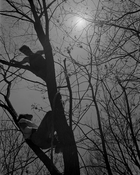 Henry O. Head - Twelve Acres