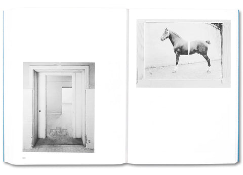 Jeffrey Ladd - A Field Measure Survey of American Architecture (signed)