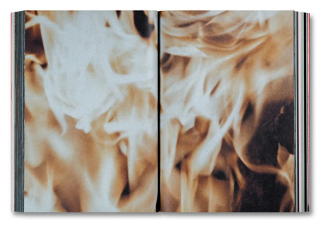 Alejandro G. Iñárritu - Amores Perros