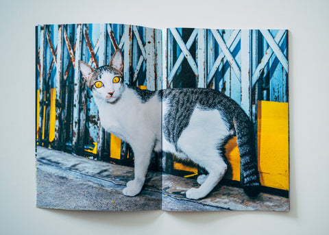 Nikita Teryoshin - Backyard Diaries Vol.2 (signed)