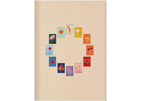 Paula Codoner - The Chromatics of Flowers