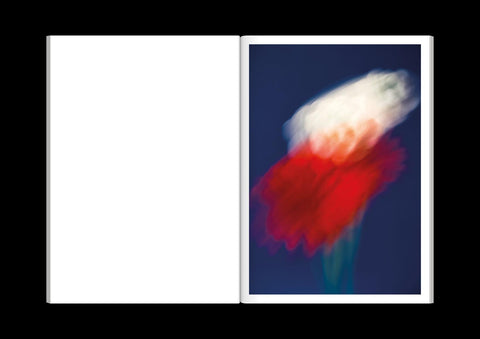 Paula Codoner - The Chromatics of Flowers