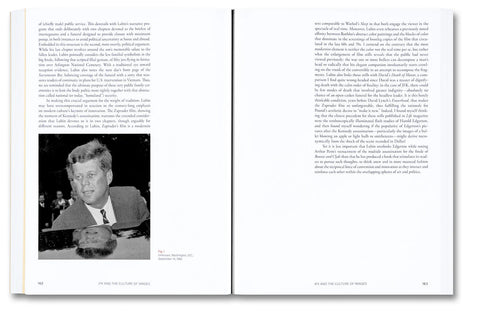 Sally Stein - Close-ups from Afar: Selected Short and Longer Essays on Social Uses of Photography