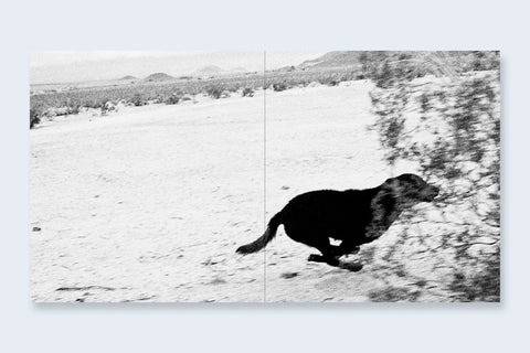 John Divola - Dogs Chasing My Car In The Desert