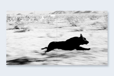 John Divola - Dogs Chasing My Car In The Desert