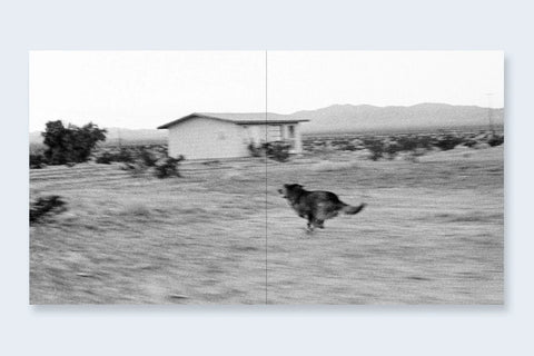 John Divola - Dogs Chasing My Car In The Desert