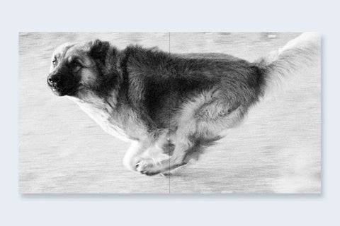 John Divola - Dogs Chasing My Car In The Desert