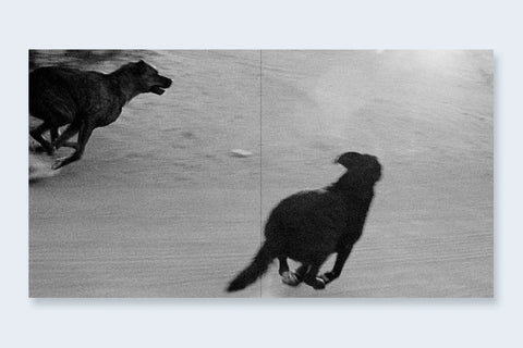 John Divola - Dogs Chasing My Car In The Desert