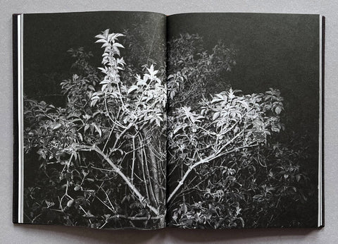 Michael Stockton - Quiet Walk