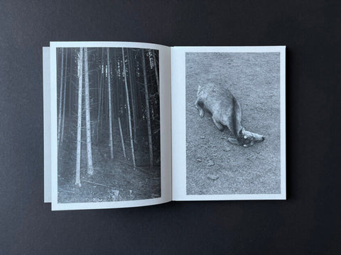 Roxana Savin - On Heaven's Doorsill