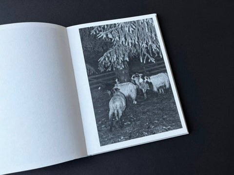 Roxana Savin - On Heaven's Doorsill