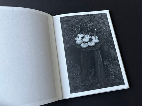 Roxana Savin - On Heaven's Doorsill