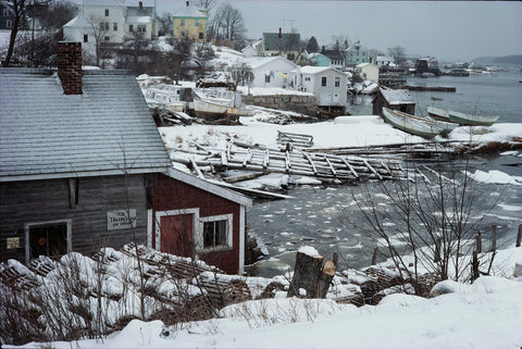 Jeff Dworsky - Sealskin (signed)