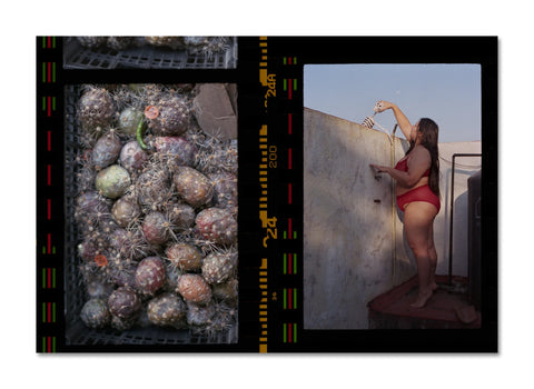 Martha Naranjo Sandoval - Small Death