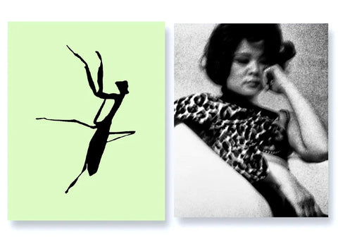 Daido Moriyama - Mantis