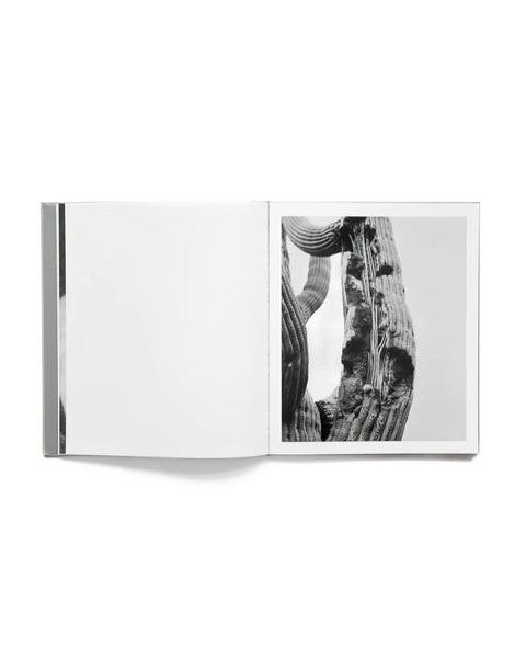 Andrea Koesters - Oracle