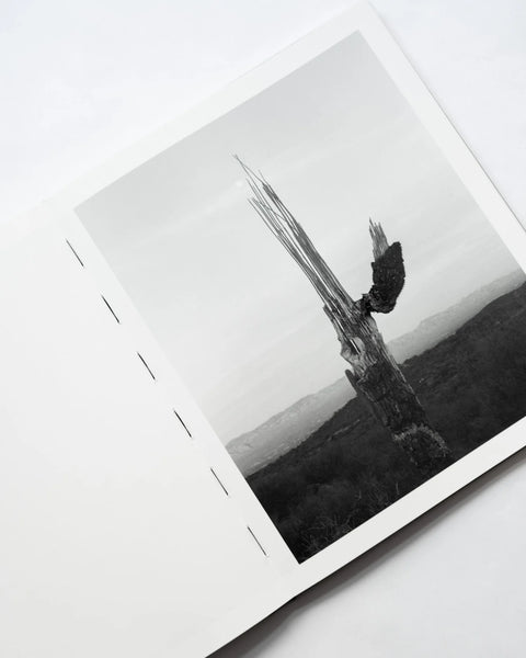 Andrea Koesters - Oracle