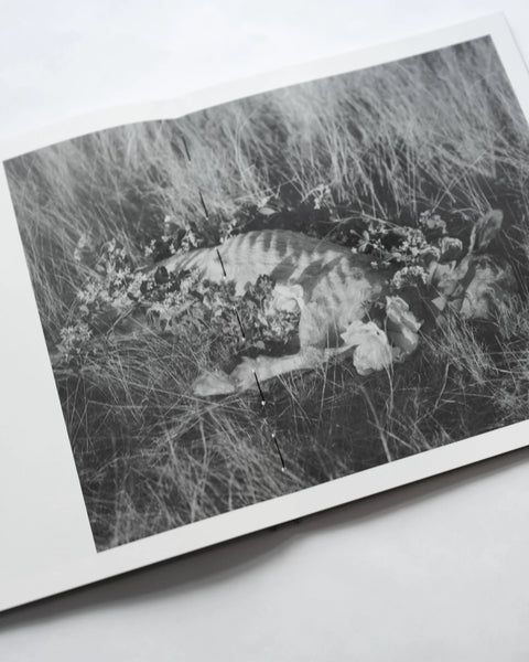 Andrea Koesters - Oracle