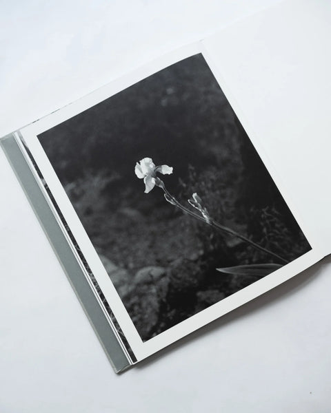 Andrea Koesters - Oracle