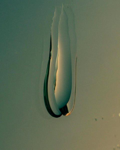 Thomas Duffield - Poppy Promises (signed)