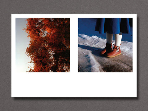 Riccardo Fregoso - Winter Light