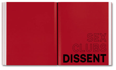Amelia Abraham - Sex, Clubs, Dissent: Visualising Queer Nightlife