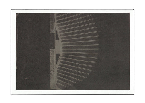 Freya Brooke Verona Copeland - Fang