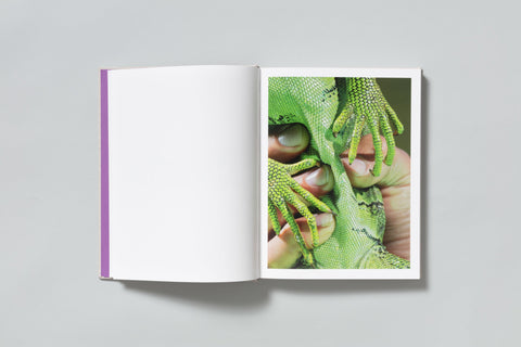 David Brandon Geeting - The Marble