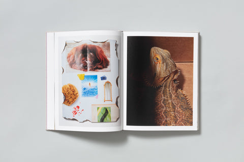 David Brandon Geeting - The Marble