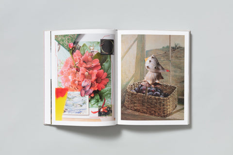 David Brandon Geeting - The Marble