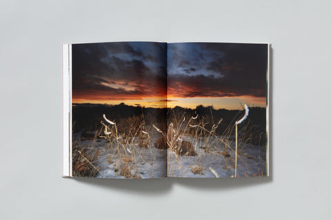 David Brandon Geeting - The Marble